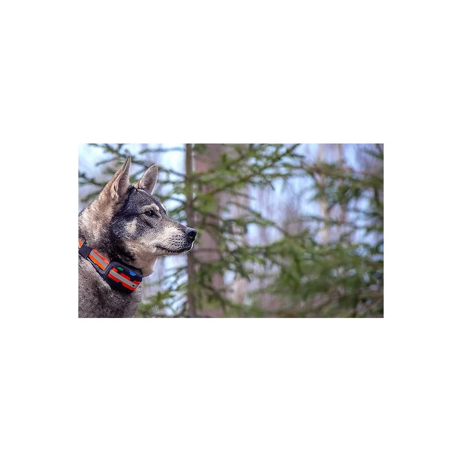 Miniatyrbild 10
