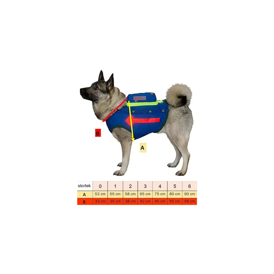 Miniatyrbild 13